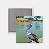Oh ik ben een Happy Pelican Tra Lah, Fridge Magnet (Voorkant / Achterkant)