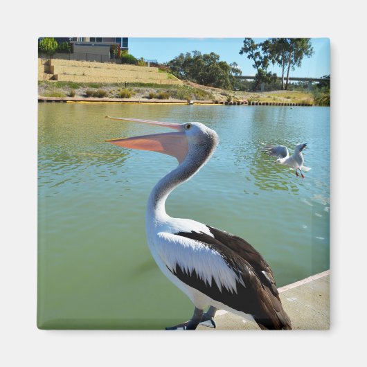Oh ik ben een Happy Pelican Tra Lah, Fridge Magnet (Voorkant)
