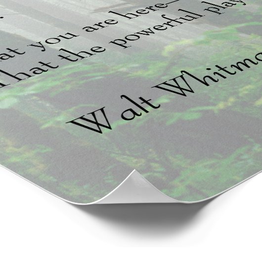 Oh, ik. Oh leven! Walt Whitman Poem Wooded Path 1 Poster (Hoek)