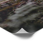 Oh, ik. Oh leven! Walt Whitman Poem Wooded Path 3 Poster (Hoek)