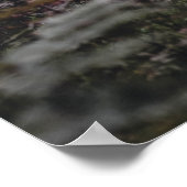 Oh, ik. Oh leven! Walt Whitman Poem Wooded Path 3 Poster (Hoek)