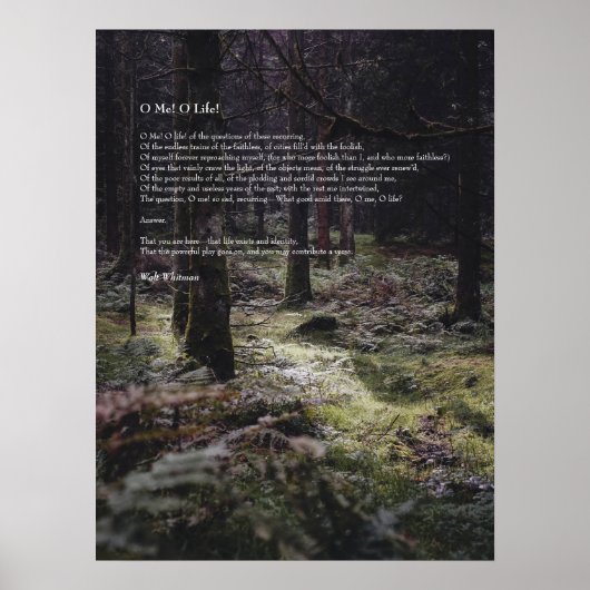 Oh, ik. Oh leven! Walt Whitman Poem Wooded Path 3 Poster (Voorkant)