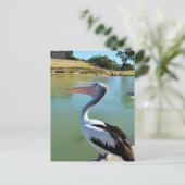 Oh Im A Happy Pelican Tra Lah, Briefkaart (Staand voorkant)