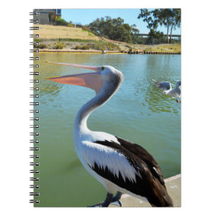 Oh Im A Happy Pelican Tra Lah, Notitieboek