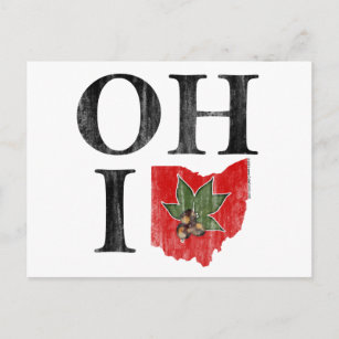 OH IO Typografisch Ohio  Rood Buckeye Nut Briefkaart