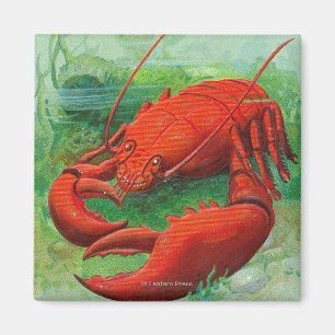 Oh jij Lobster Scene Magneet