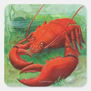 Oh jij Lobster Scene Vierkante Sticker