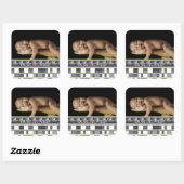 OH Joy... Het is een jongen! Stickers Uw baby foto (Vel)