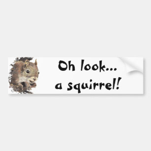 Oh kijk... een eekhoorn! Humor Bumpersticker