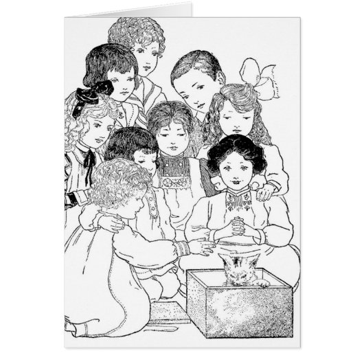 Oh kijk, Kittens (Voorkant)