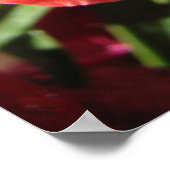 Oh Magnetisch! Dragon Poster (Hoek)