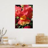 Oh Magnetisch! Dragon Poster (Keuken)