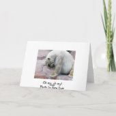 Oh me, mijn oh kaart (Achterkant)