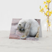 Oh me, mijn oh kaart (Gele Bloem)