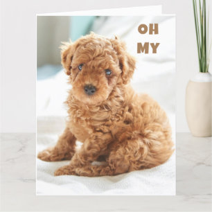 OH MIJN BIRTHDAY IS ZO MOOI VOOR JULLIE! KAART