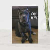 OH MY... JE DRAAIT "60" VERJAARDAG KAART