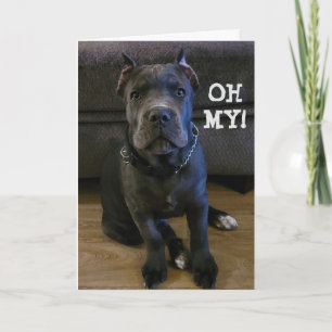 OH MY... JE DRAAIT "60" VERJAARDAG KAART