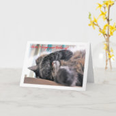 Oh nee, ik ben je verjaardag vergeten! Cat Happy b Kaart (Gele Bloem)