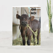 OH NEE... U BENT **40** HAPPY BIEDDAY KAART (Voorkant)