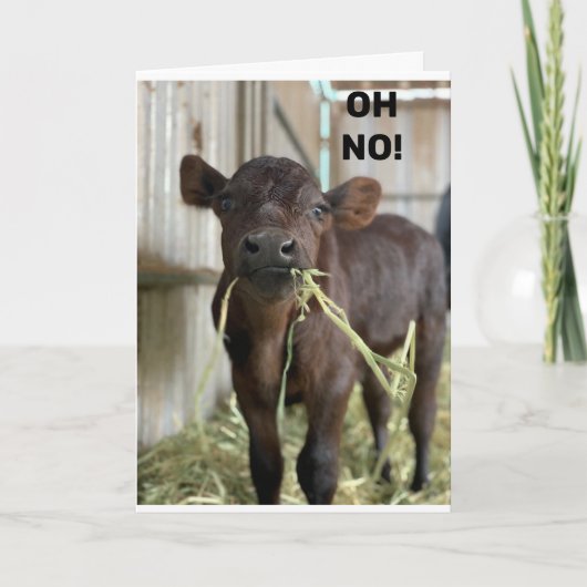 OH NEE... U BENT **40** HAPPY BIEDDAY KAART (Voorkant)