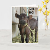 OH NEE... U BENT **40** HAPPY BIEDDAY KAART (Gele Bloem)