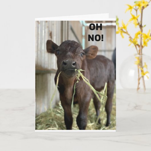 OH NEE... U BENT **40** HAPPY BIEDDAY KAART (Gele Bloem)