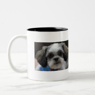 OH SHIH TZU Het is Koffietijd Tweekleurige Koffiemok