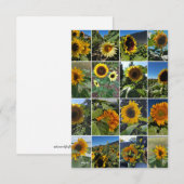 Oh So Many Sunflowers Collage Notitiekaartje (Voorkant / Achterkant)
