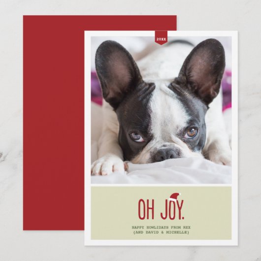 Oh Vreugde | de Grappige Kaart van de Foto van de (Voorkant / Achterkant)