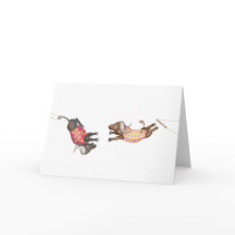 Oh wat een circus! buffel trapezewerkers kaart