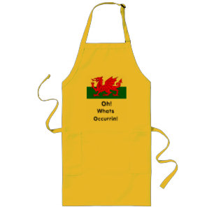 oh wat een welsh flag apron lang schort