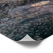Oh, Wat is dat in de Holte 1895 ERH Poster (Hoek)