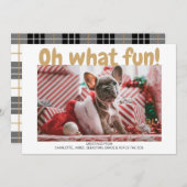 Oh, wat vun Bold Type Geplakt PatroonkerstKaart Feestdagenkaart (Voorkant / Achterkant)