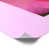 Oh, zo roze! poster (Hoek)