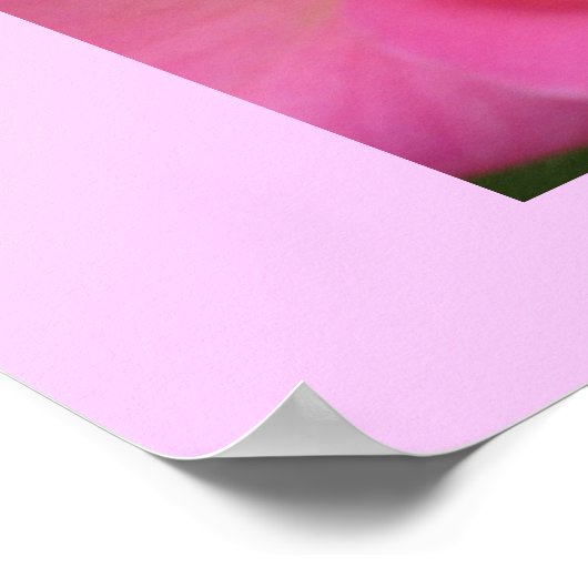 Oh, zo roze! poster (Hoek)