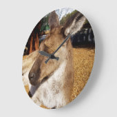 Oh, zo slaperig Kangaroo, Grote Klok (Hoek)