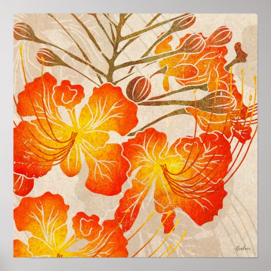 Ohai Alii 2 Poster (Voorkant)