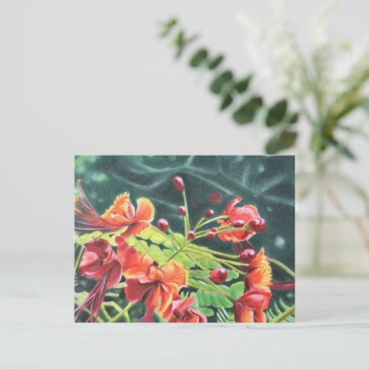 Ohai Alii Briefkaart (Staand voorkant)