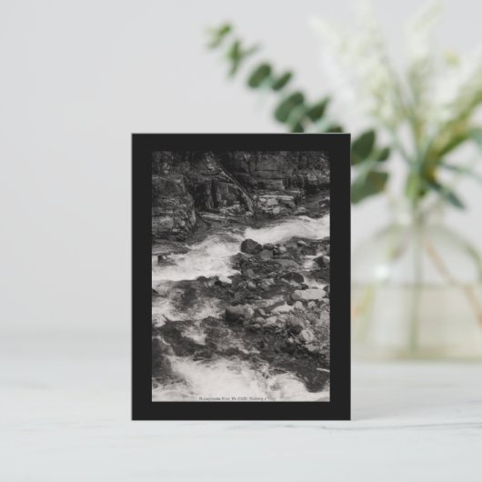 Ohanapecoshs River, WA Briefkaart (Staand voorkant)