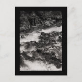 Ohanapecoshs River, WA Briefkaart (Voorkant)