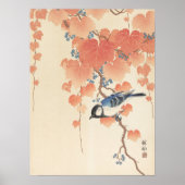 Ohara Koson Grote Tit op Paulownia Tak Japans Poster (Voorkant)
