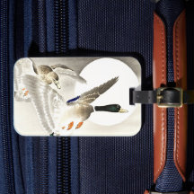 Ohara Koson Japans Twee Eenden Bij Volle Maan