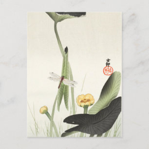 ohara koson's Japanse schilderende briefkaart,小 邨  Briefkaart