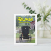 OHCA101.Amish Buggie - Holmes Co OH. Briefkaart (Staand voorkant)