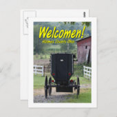OHCA101.Amish Buggie - Holmes Co OH. Briefkaart (Voorkant / Achterkant)