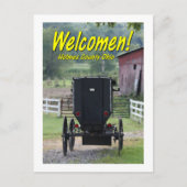 OHCA101.Amish Buggie - Holmes Co OH. Briefkaart (Voorkant)