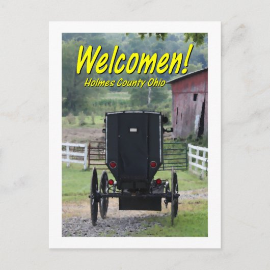OHCA101.Amish Buggie - Holmes Co OH. Briefkaart (Voorkant)