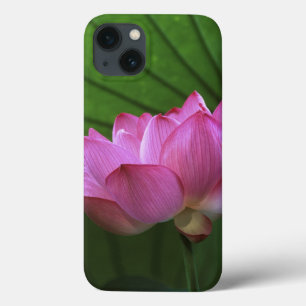 Ohga Lotus, Sankei-en Garden, Yokohama, Japan Case-Mate iPhone Case