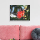 Ohia Lehua Blossom Canvas Afdruk (Insitu (Woonkamer))