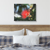 Ohia Lehua Blossom Canvas Afdruk (Insitu (Slaapkamer))